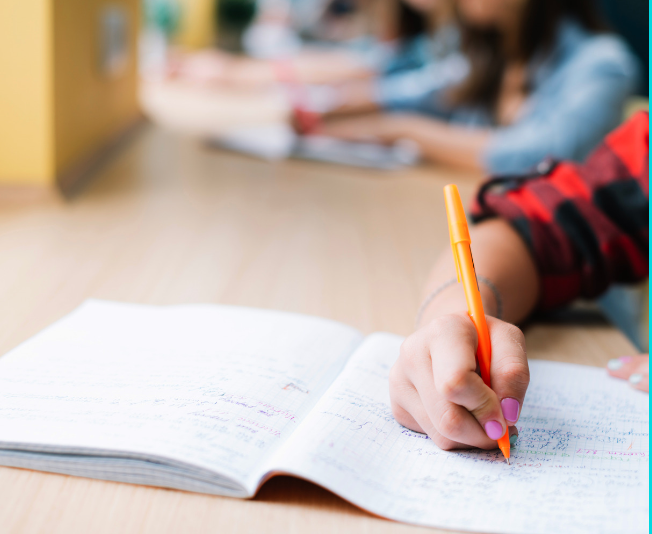 Herbs and Spices Lesson Ideas for Culinary Arts and FCS – Twins and ...